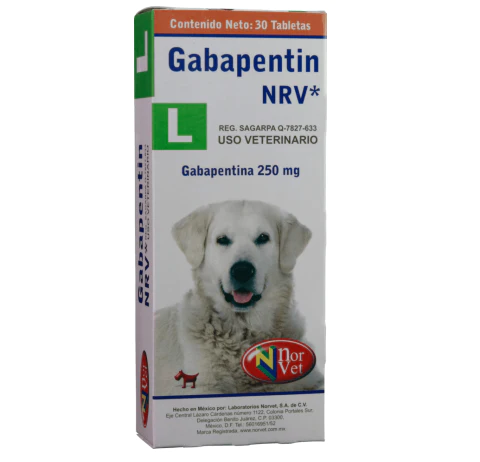 se debe tomar la gabapentina para perros con alimentos