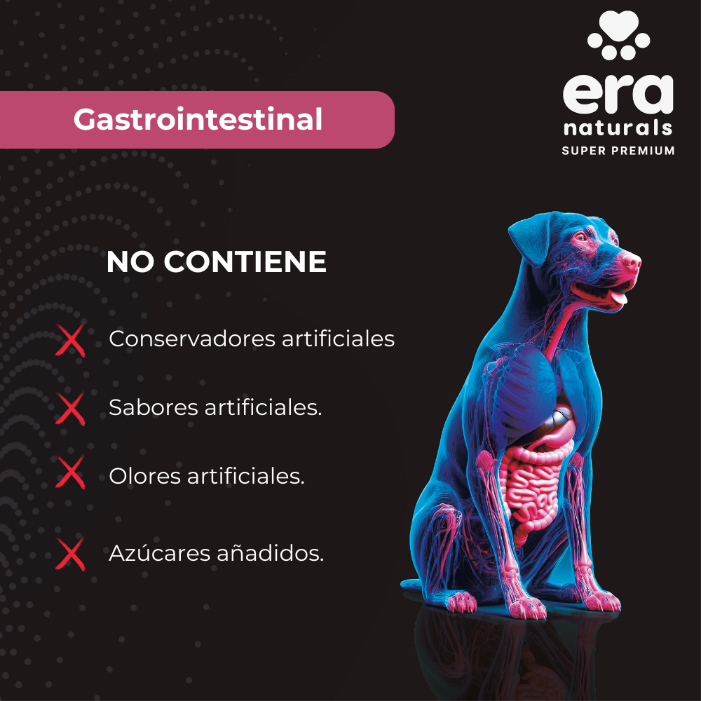 Suplemento para Perros Era Naturals Gastrointestinal - Gastrointestinal Support 300 Gr