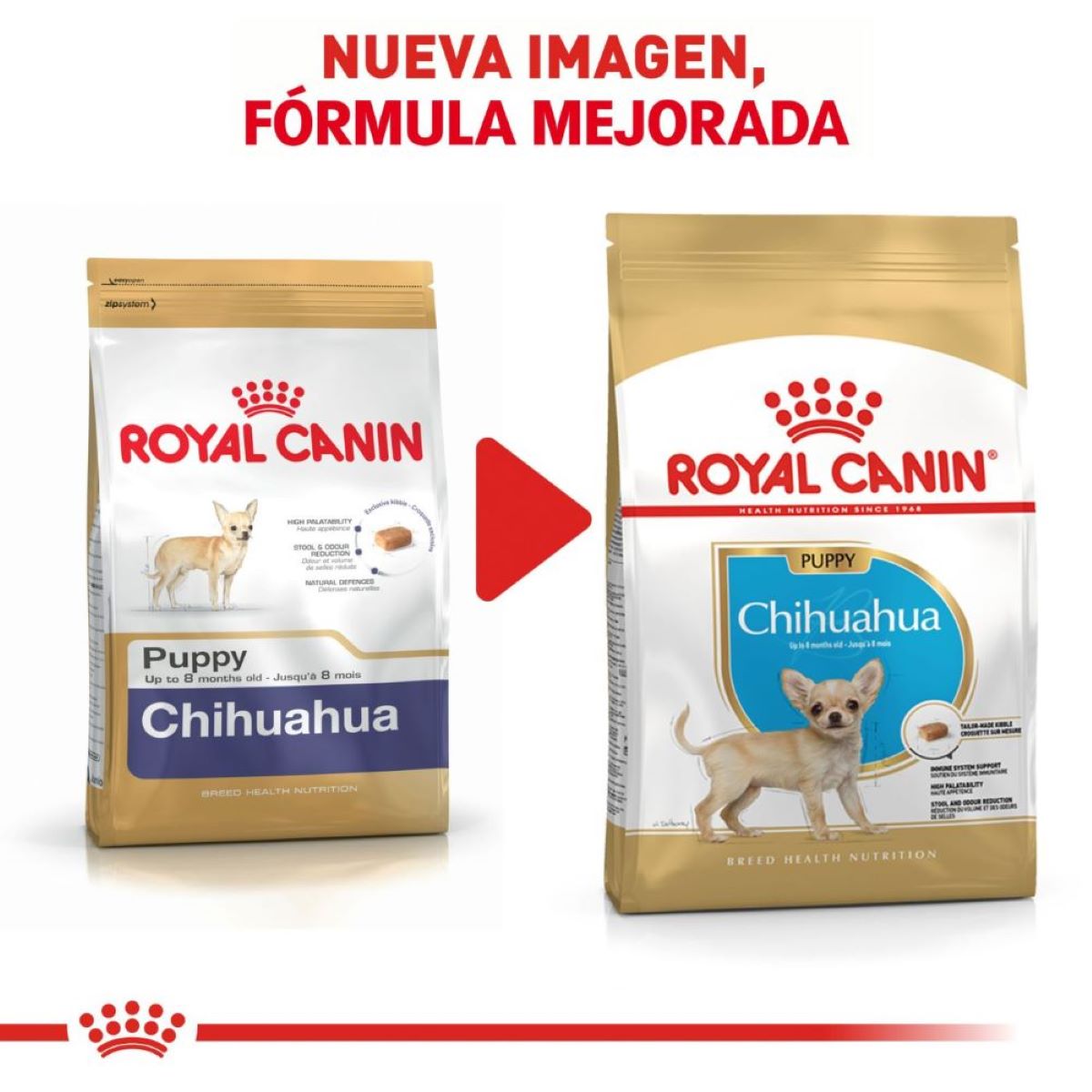 Royal Canin Chihuahua Puppy 1.1 Kg - Alimento para Cachorro