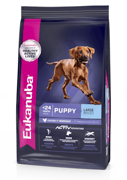 Eukanuba para Cachorro Raza Grande - 13.6 Kg