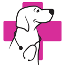 Mistermascotas store logo