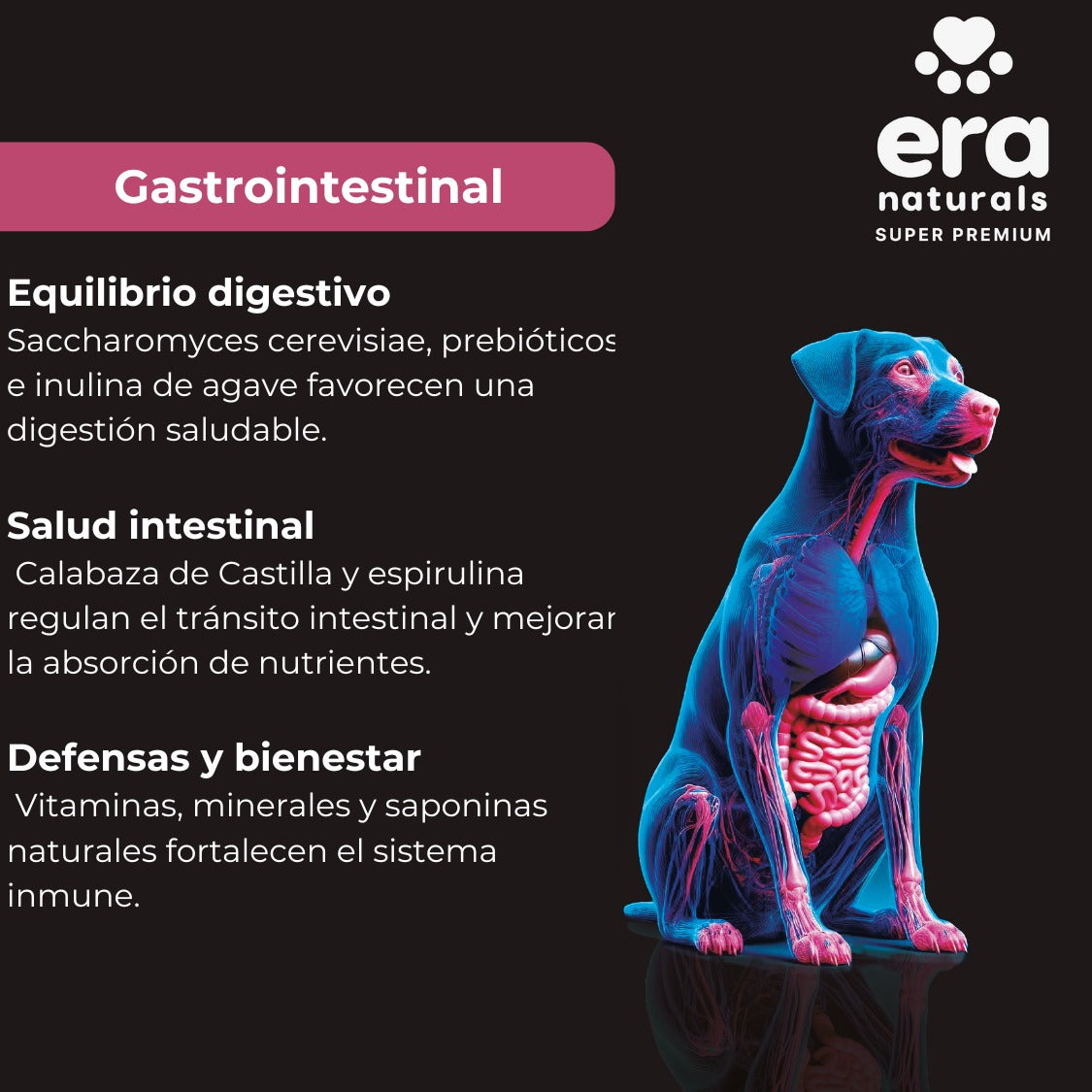 Suplemento para Perros Era Naturals Gastrointestinal - Gastrointestinal Support 300 Gr