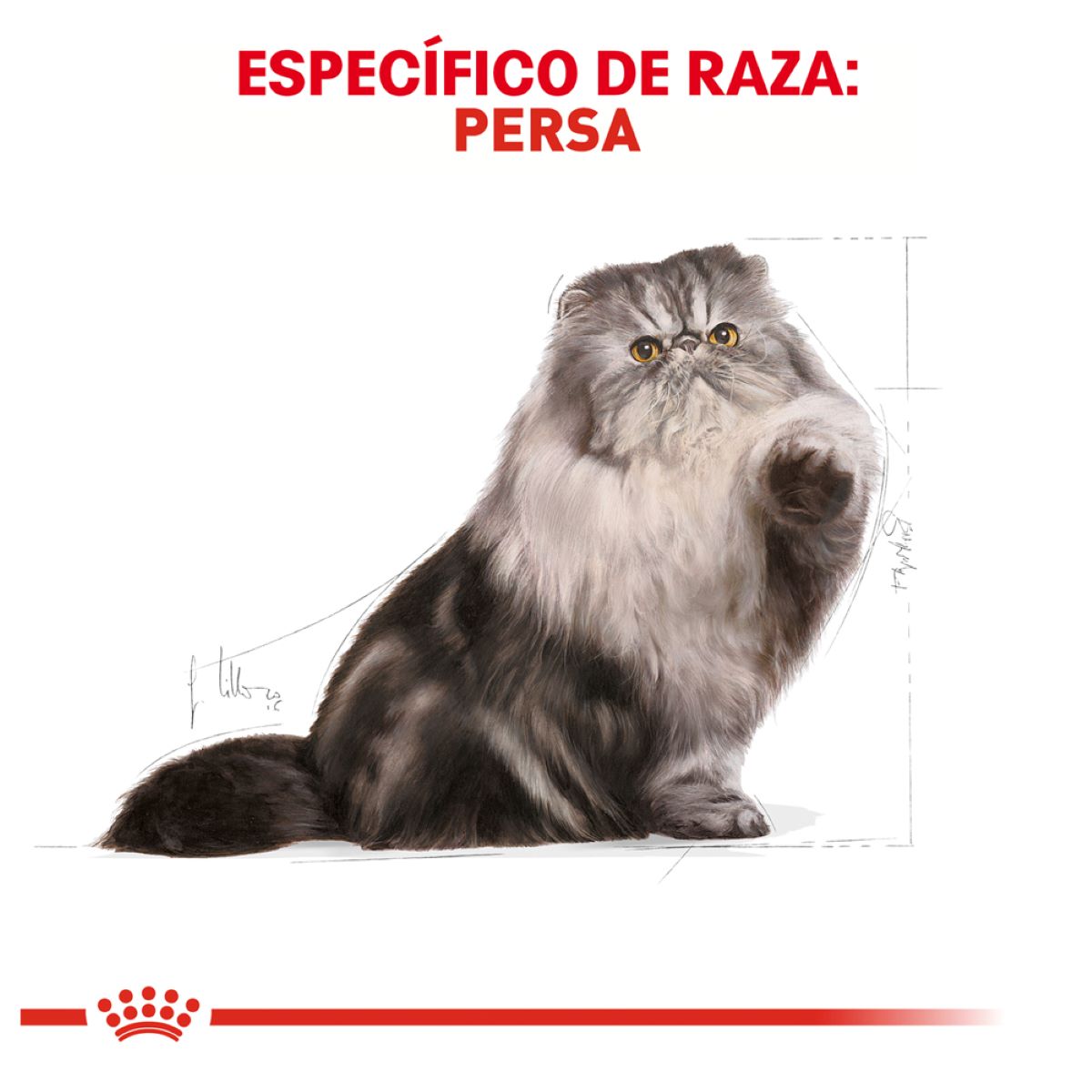 Royal Canin Persian Cat Adult 3.18 Kg - Alimento para Gato Persa Adulto