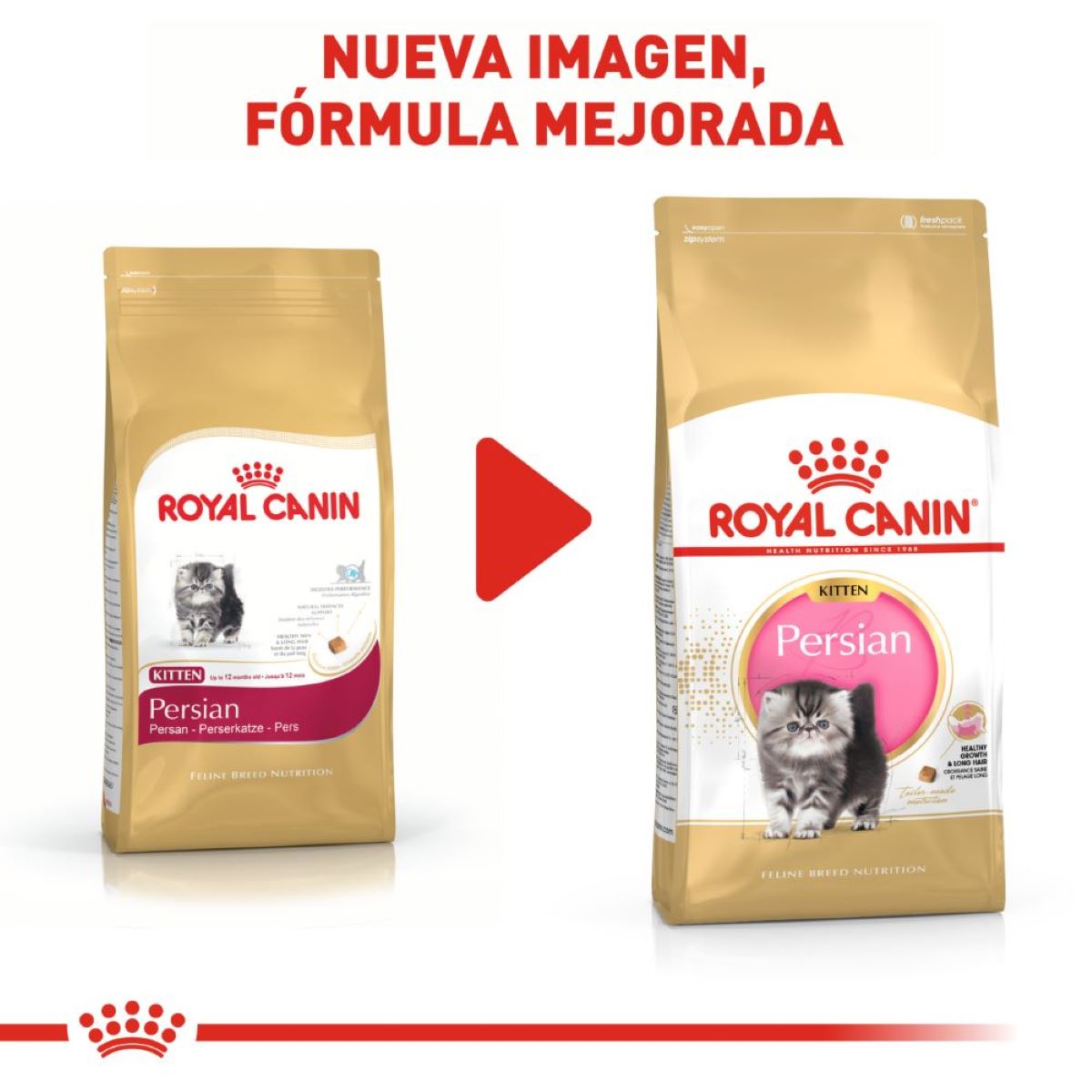 Royal Canin Persian Kitten 1.37 Kg - Alimento Para Gaitto Persa