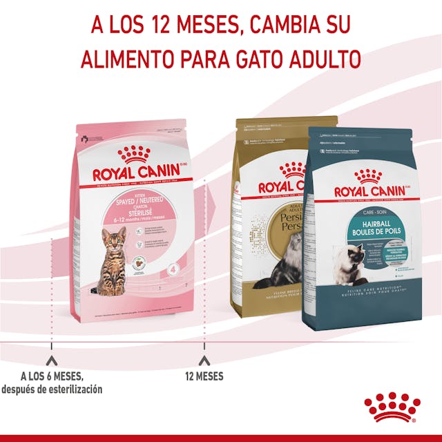 Royal Canin Kitten Spayed / Neutered 1.14 Kg - Alimento para Gatito