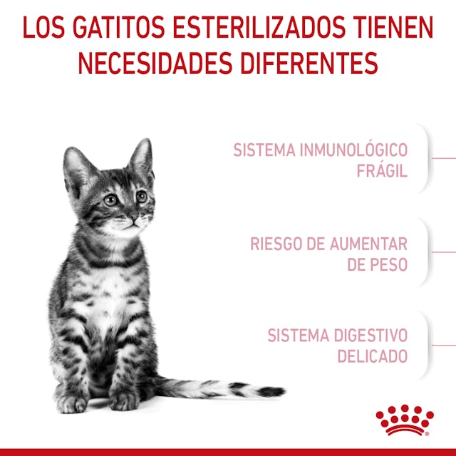 Royal Canin Kitten Spayed / Neutered 1.14 Kg - Alimento para Gatito