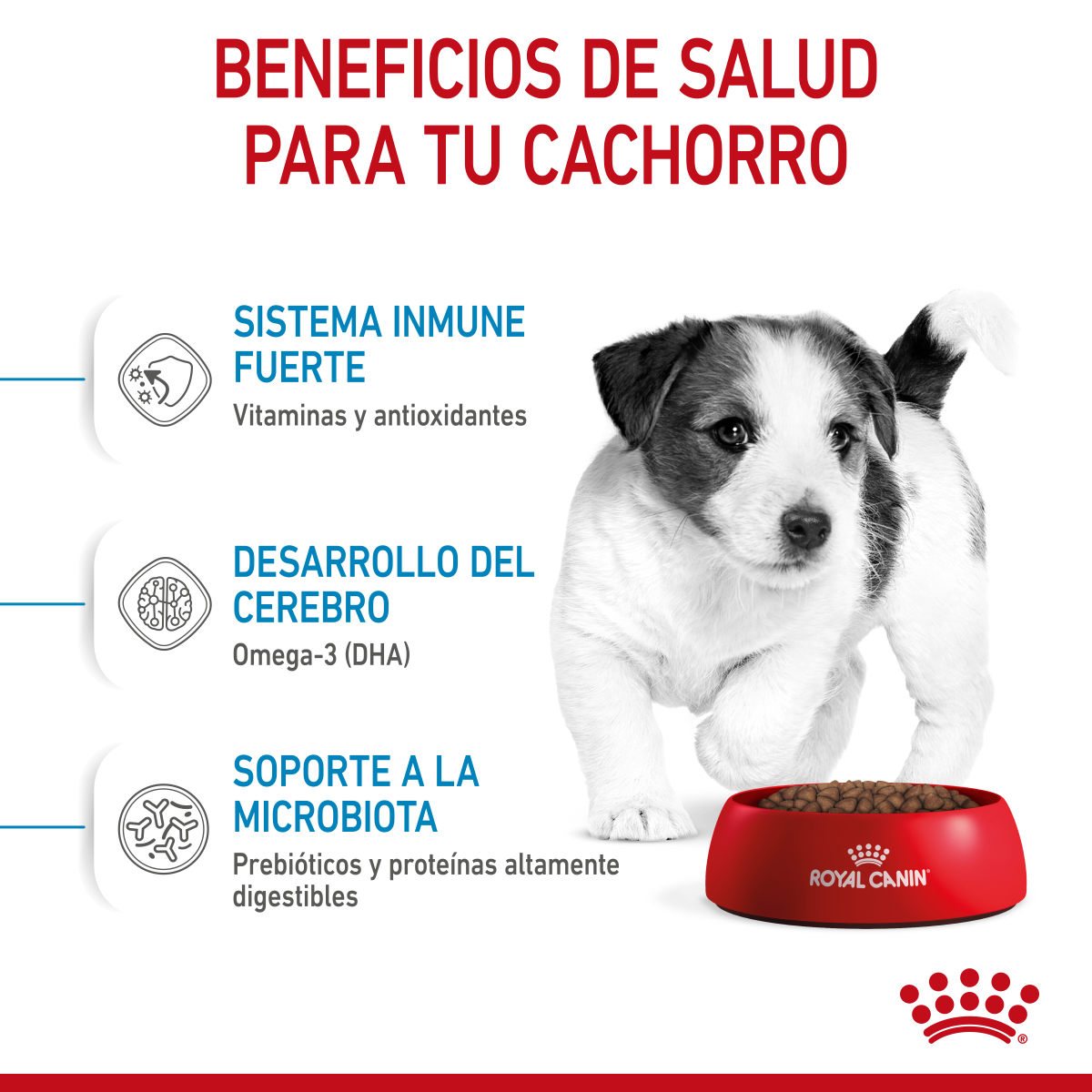 Royal Canin Cachorro Raza Pequeña