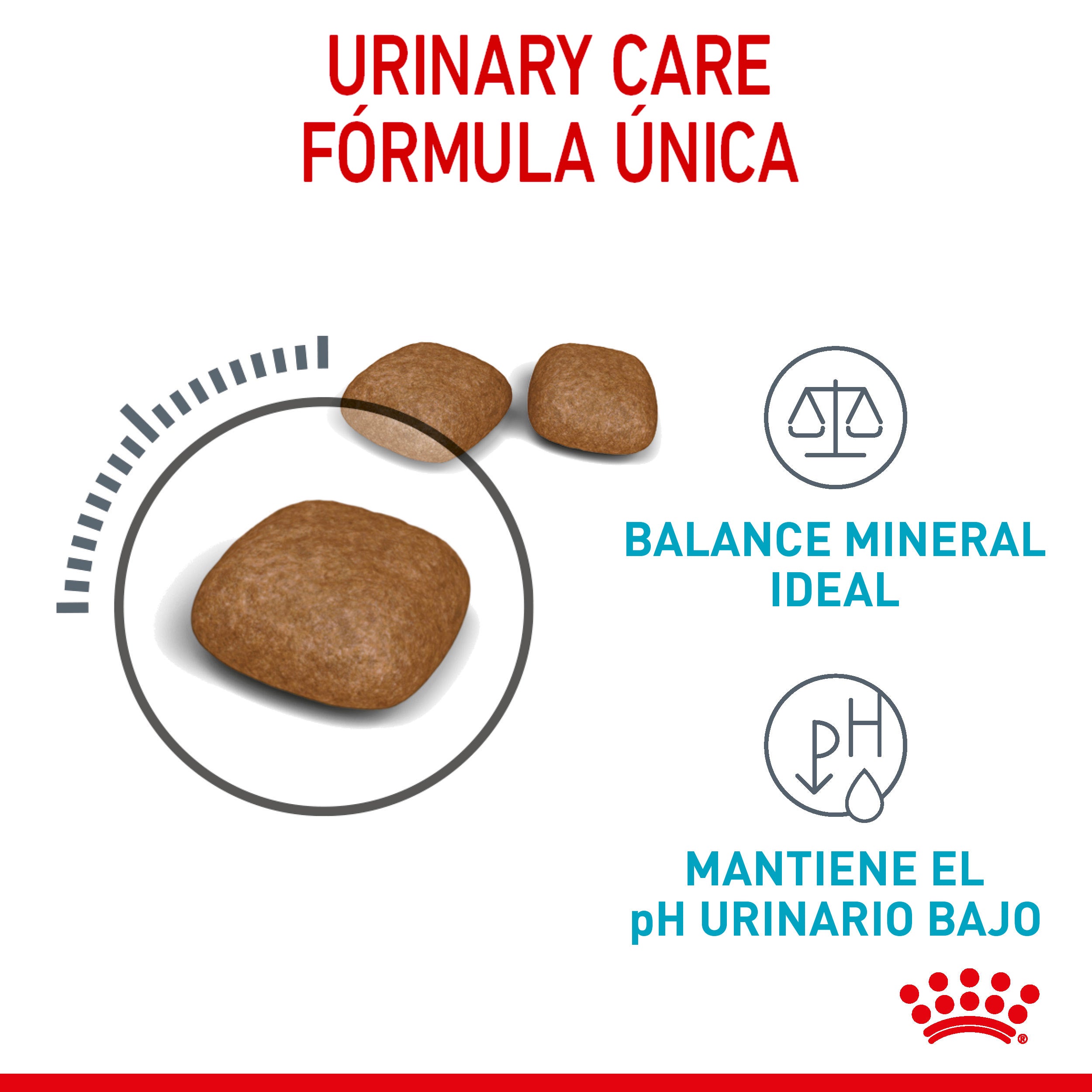 Royal Canin Urinary Care para Gato Kg - Alimento para Gato