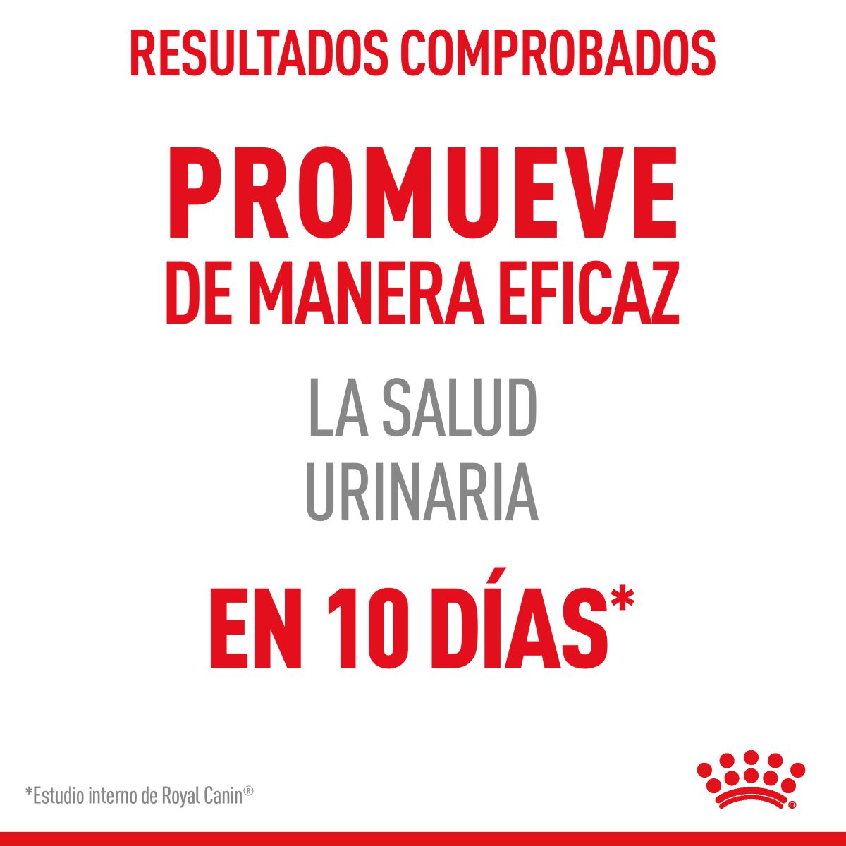 Royal Canin Urinary Care para Gato Kg - Alimento para Gato