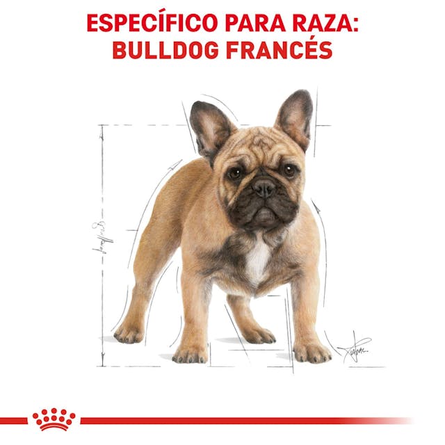 Royal Canin Bulldog Francés 7.2 Kg - Alimento para Perro