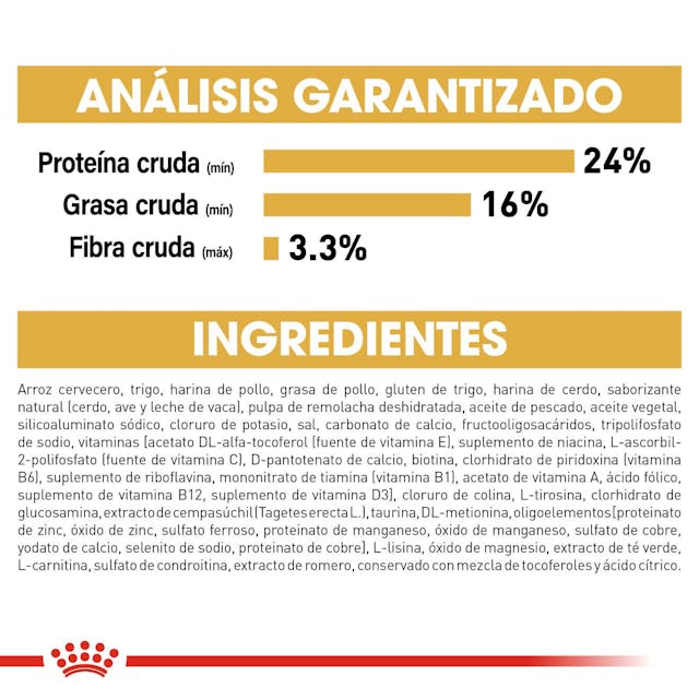 Royal Canin Bulldog Francés 7.2 Kg - Alimento para Perro